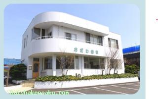 おざわ歯科医院 